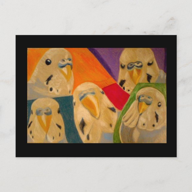 Postal Budgie Budgerigar (Anverso)