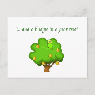 Postal Budgie en un árbol de peras