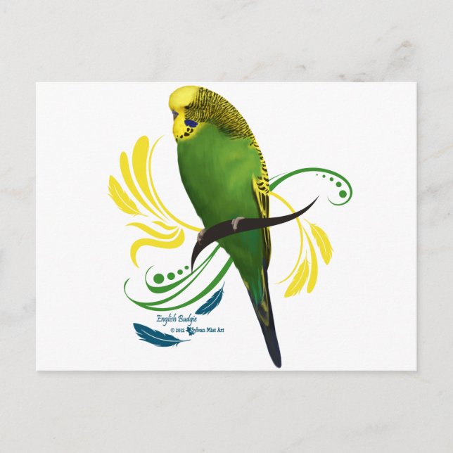 Postal Budgie inglesa verde (Anverso)