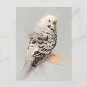 Postal Budgie Portrait No.11