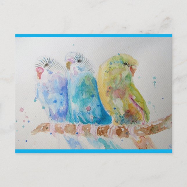 Postal Budgies Aqua Verde azulado pájaro de pintura de co (Anverso)