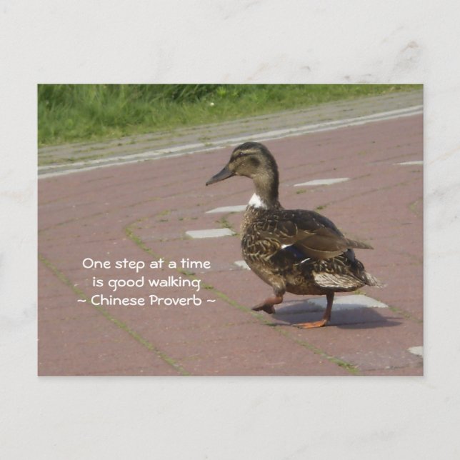 Postal Buen Camino (Anverso)