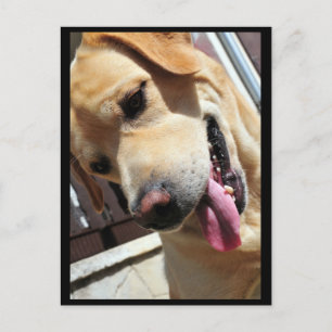 Postal ¡Buen chiste, hombre!