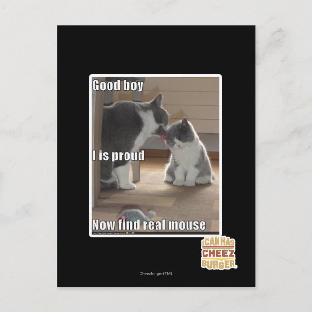 Postal Buen muchacho (Anverso)