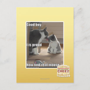 Postal Buen muchacho