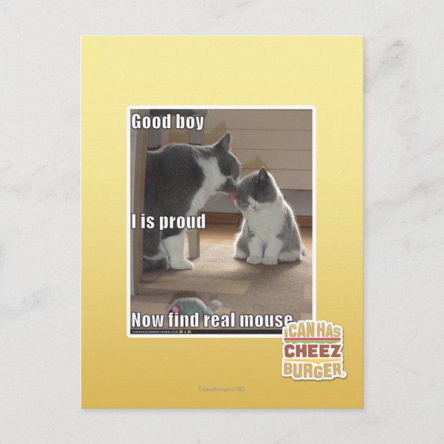 Postal Buen muchacho (Anverso)