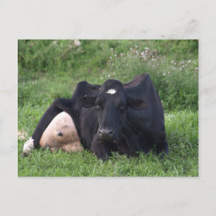 Postal Buena Hora de Mañana en la Primera Guerra Mundial