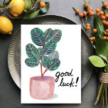 Postal Buena Suerte Calathea Oración Planta Acuática<br><div class="desc">Echa un vistazo a esta colorida planta de calateas acuáticas. ¡Puedes guardar el texto o borrar y añadir el tuyo! ¡Visita mi tienda para más!</div>
