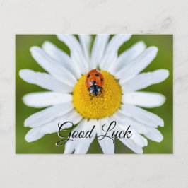 Postal ¡Buena suerte con una linda mariquita!