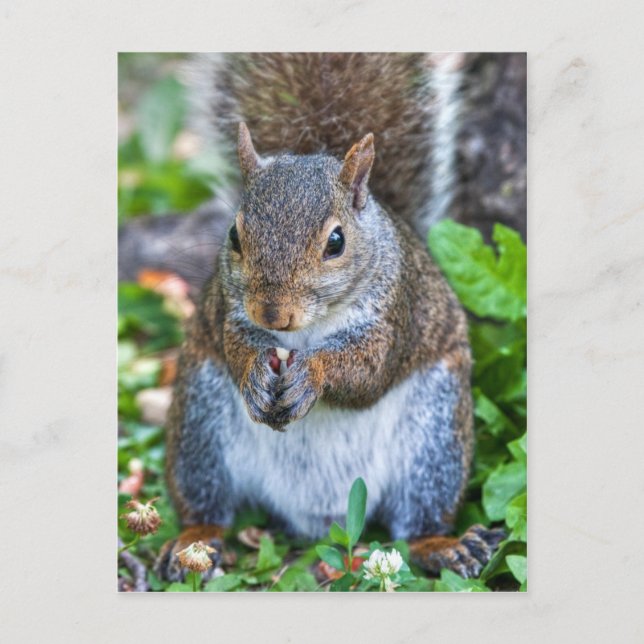 Postal Bueno Para La Última Bita (Anverso)