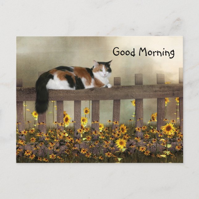 Postal Buenos días calico kitty (Anverso)