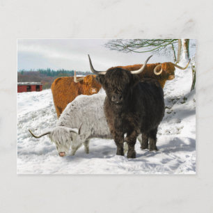 Postal "Buenos días con nieve"