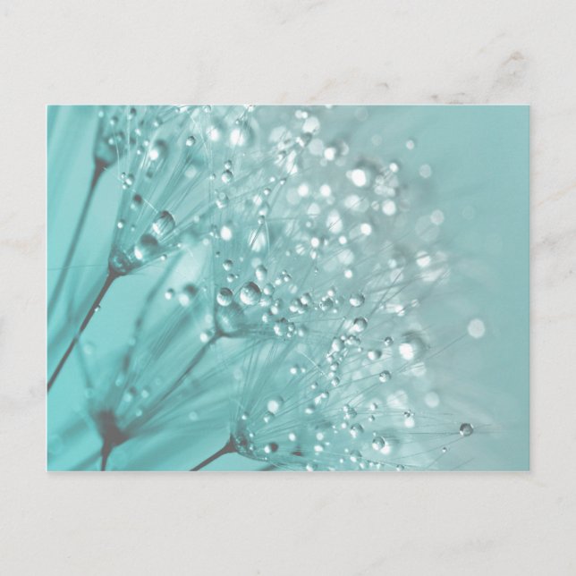 Postal Buenos días Frescor (Anverso)