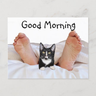 Postal Buenos días gatito de Tuxedo