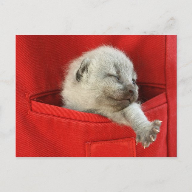 Postal Buenos días mundo (Anverso)