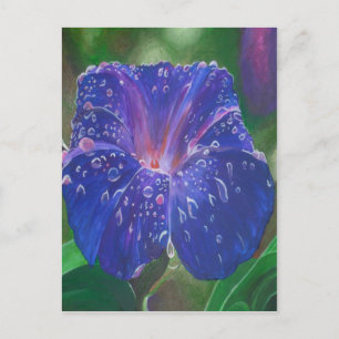 Postal Buenos días Pétalos de Gloria (Ipomoea Purpurea) y