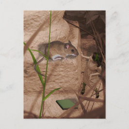 Postal Buenos días, señorita Mouse.