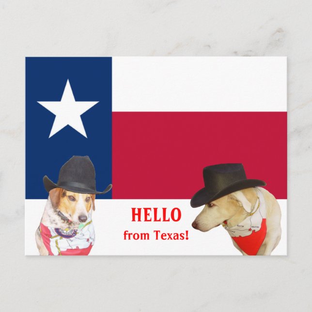 Postal ¡Buenos perros de Texas! (Anverso)