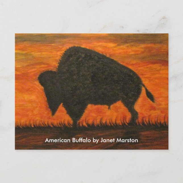 Postal Búfalo americano (Bison) (Anverso)