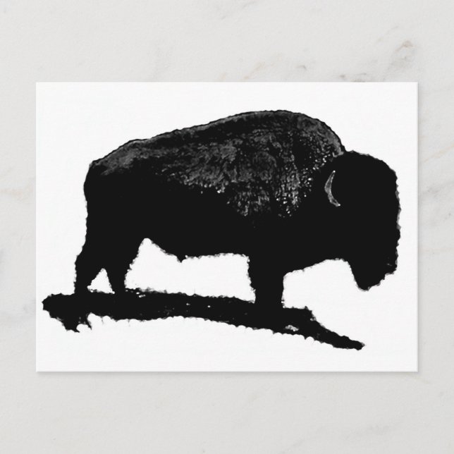 Postal Búfalo blanco y negro (Anverso)