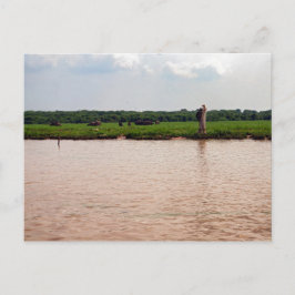 Postal Búfalo de agua de Riverside y Fisherman, Camboya
