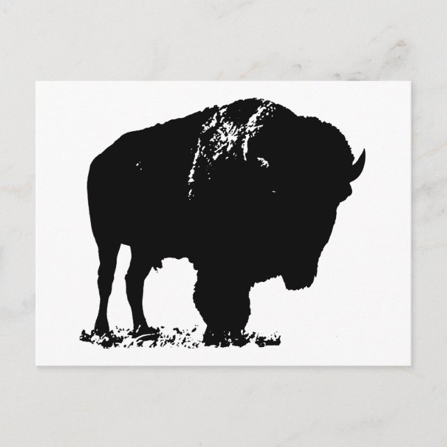 Postal Búfalo de Bison Black & White Pop Art (Anverso)