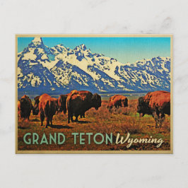 Postal Búfalo de Grand Teton Wyoming