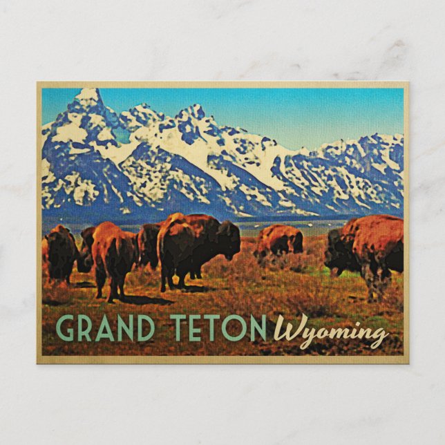 Postal Búfalo de Grand Teton Wyoming (Anverso)