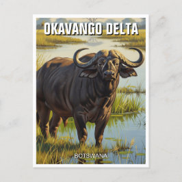 Postal Búfalo del Cabo en el Delta del Okavango