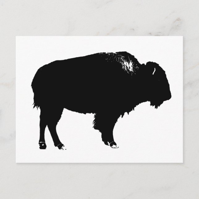 Postal Búfalo negro y blanco de Bison Silhouette Pop Art (Anverso)