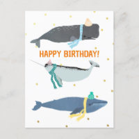 Bufandas De Ballena Lindas Cumpleaños De Niños De