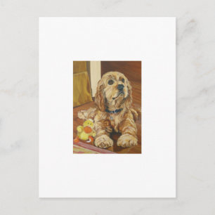 Postal Buff Cocker Spaniel