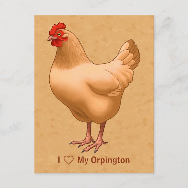 Postal Buff Orpington Chicken Hen (Anverso)