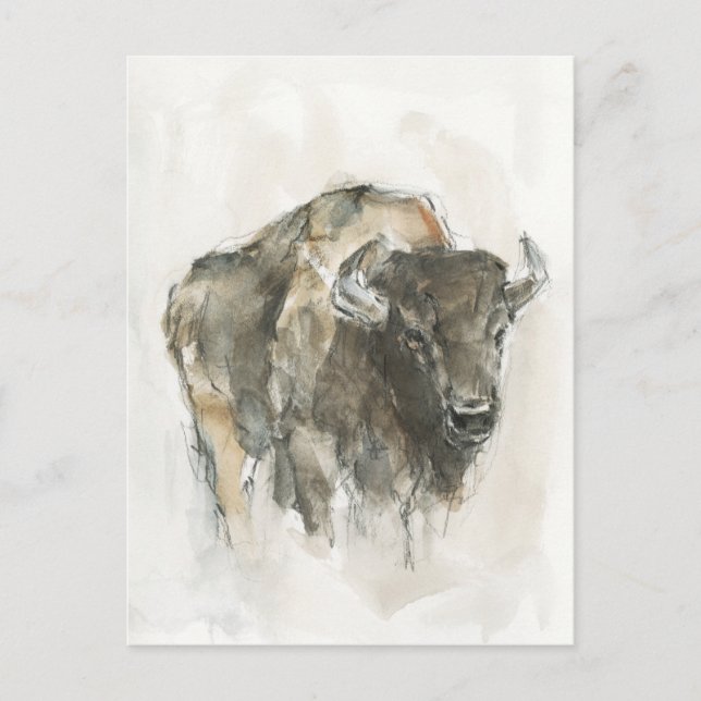 Postal Buffalo americano I (Anverso)