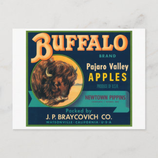Postal Buffalo Pajaro Valley Apples Etiqueta de tasa de c