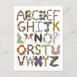 Postal Bug Alphabet Kids Insectos Tema ABC