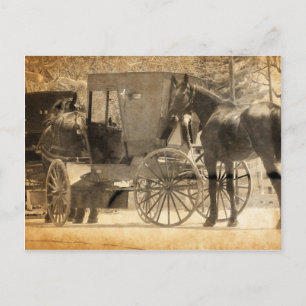Postal Buggy Antes Del Caballo, Amish Trae A Casa Un Caba
