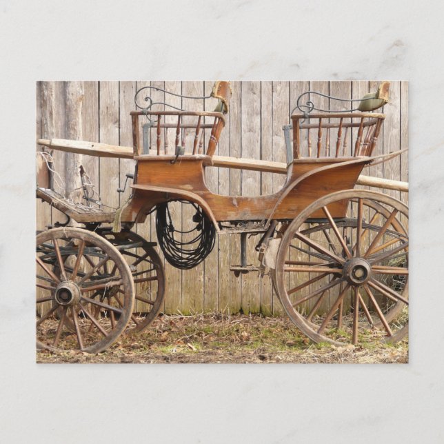 Postal Buggy, viejo entrenador de caballos (Anverso)