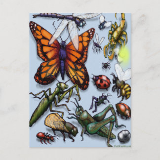 Postal Bugs