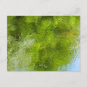 Postal Bugs de Agua en el Parque Estatal Laurel Hill