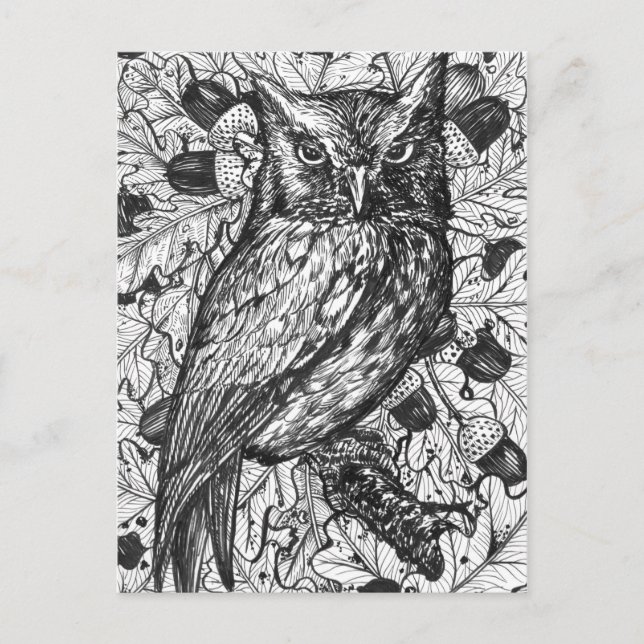 Postal Búho (Anverso)