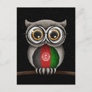 Postal Búho de la bandera afgana con gafas