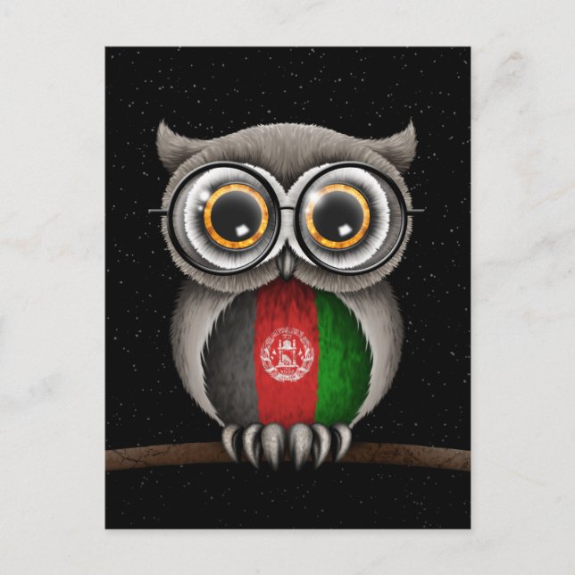 Postal Búho de la bandera afgana con gafas (Anverso)