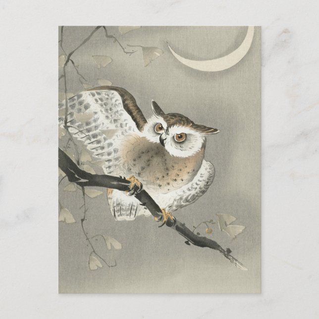 Postal Búho de orejas largas en ginkgo -Ohara Koson -Arte (Anverso)