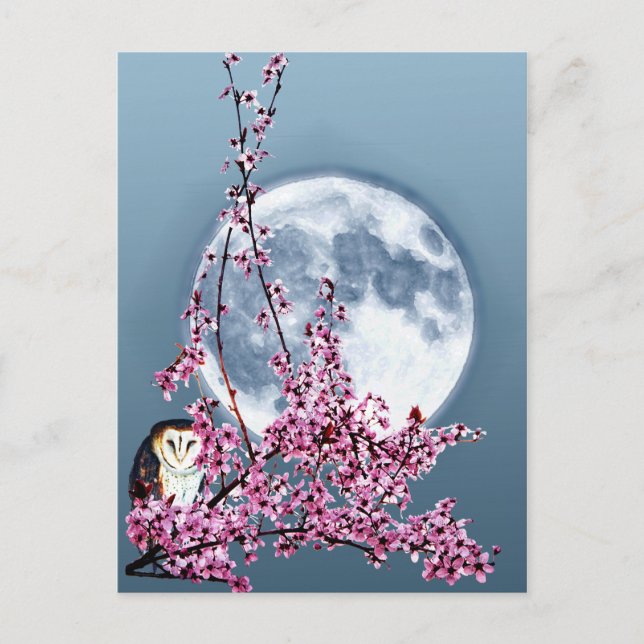 Postal Búho en el árbol de ciruelas (Anverso)