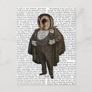 Postal Búho en la ópera