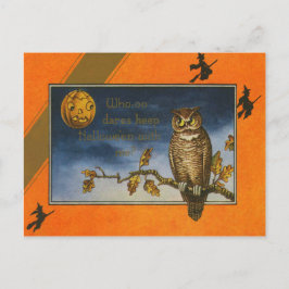 Postal Búho Jack O Linterna Calabaza
