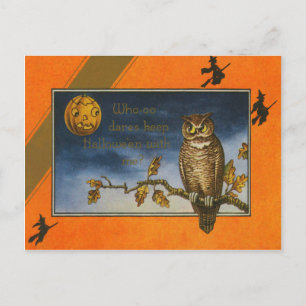 Postal Búho Jack O Linterna Calabaza