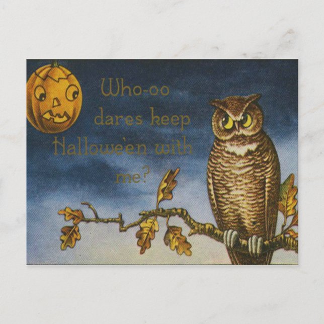 Postal Búho Jack O Linterna Calabaza (Anverso)