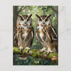 Postal Búhos Águila Majestuosos en Percha del Bosque